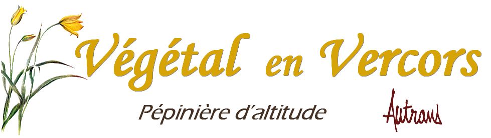 Logo vev.jpg