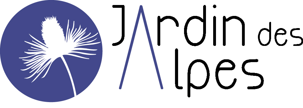 logo noir.jpg